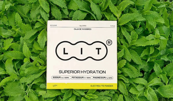 Smokeless Stevia: What it is, how it's metabolized, and why we use it in LIT
