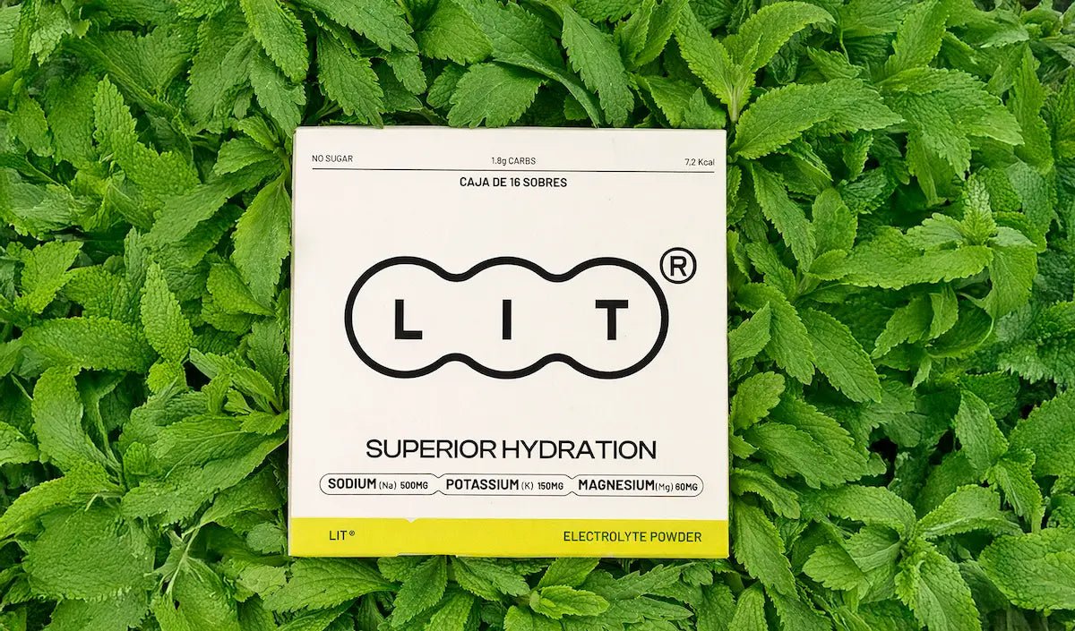 Estevia sin humo: que es, cómo se metaboliza y por qué la usamos en LIT - LIT