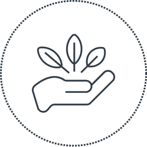 Ingredientes naturales